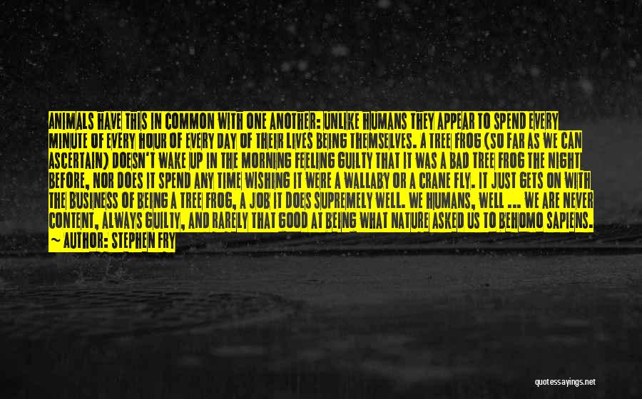 Stephen Fry Quotes: Animals Have This In Common With One Another: Unlike Humans They Appear To Spend Every Minute Of Every Hour Of