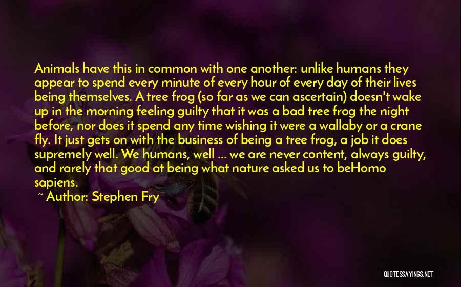 Stephen Fry Quotes: Animals Have This In Common With One Another: Unlike Humans They Appear To Spend Every Minute Of Every Hour Of