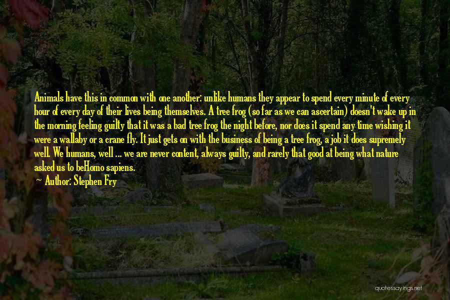 Stephen Fry Quotes: Animals Have This In Common With One Another: Unlike Humans They Appear To Spend Every Minute Of Every Hour Of
