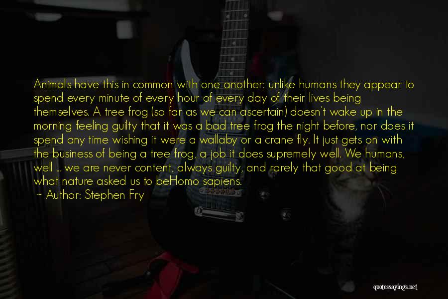 Stephen Fry Quotes: Animals Have This In Common With One Another: Unlike Humans They Appear To Spend Every Minute Of Every Hour Of