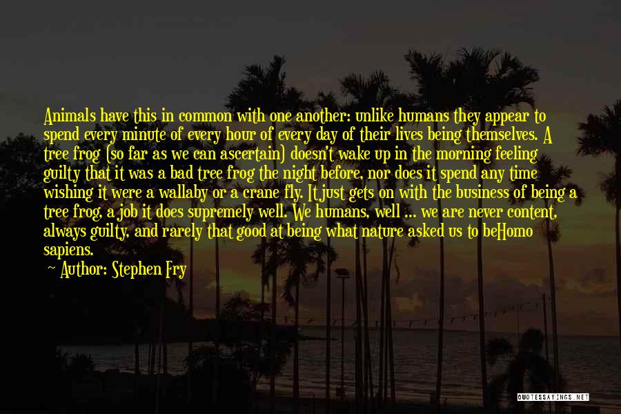 Stephen Fry Quotes: Animals Have This In Common With One Another: Unlike Humans They Appear To Spend Every Minute Of Every Hour Of