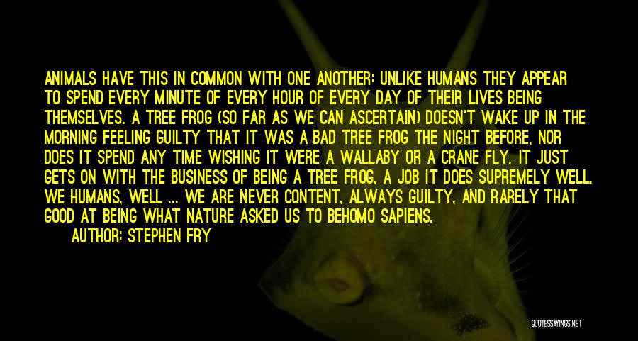 Stephen Fry Quotes: Animals Have This In Common With One Another: Unlike Humans They Appear To Spend Every Minute Of Every Hour Of