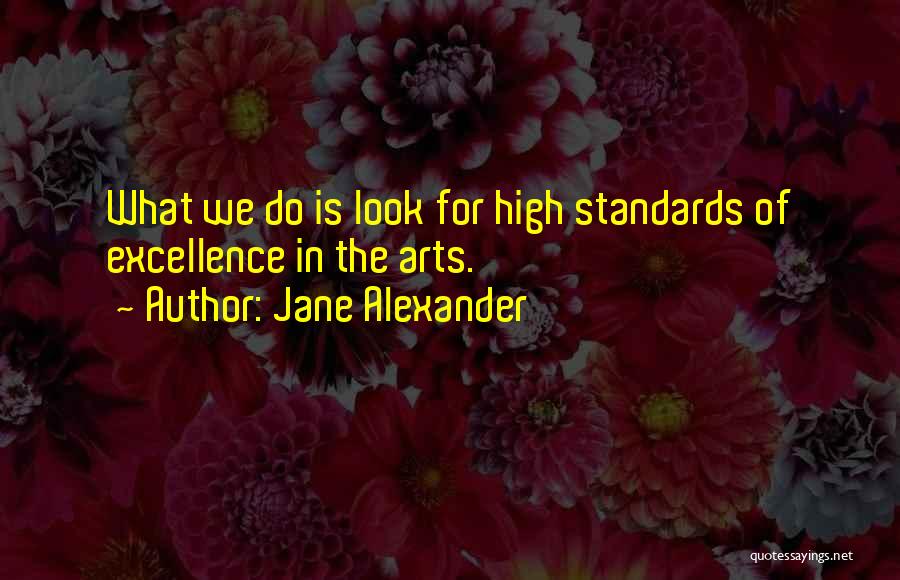 Jane Alexander Quotes: What We Do Is Look For High Standards Of Excellence In The Arts.