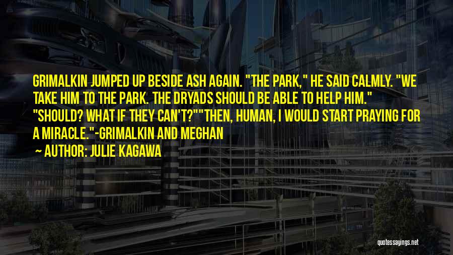 Julie Kagawa Quotes: Grimalkin Jumped Up Beside Ash Again. The Park, He Said Calmly. We Take Him To The Park. The Dryads Should
