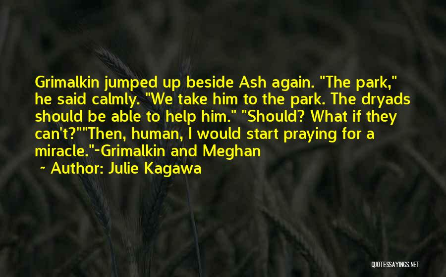 Julie Kagawa Quotes: Grimalkin Jumped Up Beside Ash Again. The Park, He Said Calmly. We Take Him To The Park. The Dryads Should