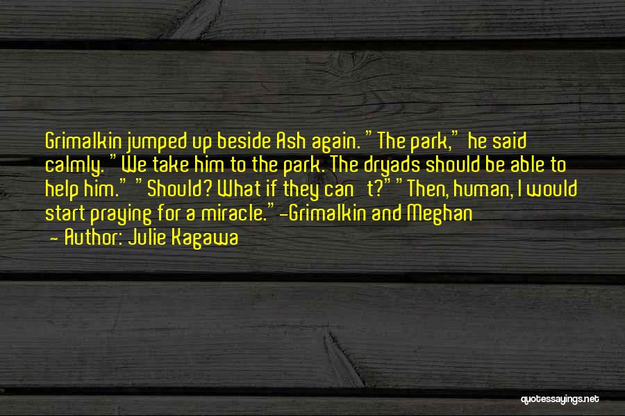 Julie Kagawa Quotes: Grimalkin Jumped Up Beside Ash Again. The Park, He Said Calmly. We Take Him To The Park. The Dryads Should