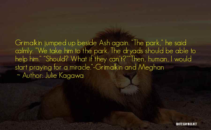 Julie Kagawa Quotes: Grimalkin Jumped Up Beside Ash Again. The Park, He Said Calmly. We Take Him To The Park. The Dryads Should