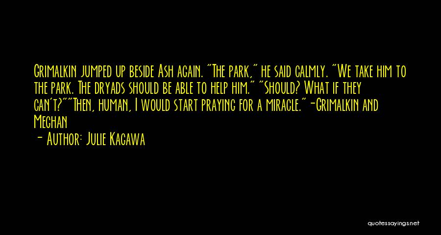 Julie Kagawa Quotes: Grimalkin Jumped Up Beside Ash Again. The Park, He Said Calmly. We Take Him To The Park. The Dryads Should