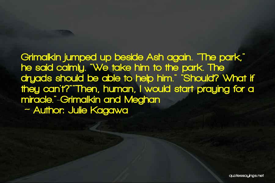 Julie Kagawa Quotes: Grimalkin Jumped Up Beside Ash Again. The Park, He Said Calmly. We Take Him To The Park. The Dryads Should