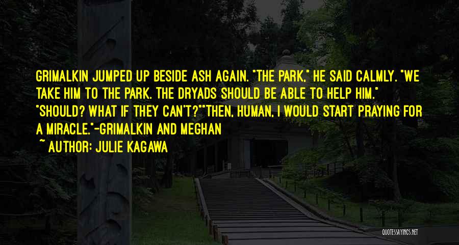Julie Kagawa Quotes: Grimalkin Jumped Up Beside Ash Again. The Park, He Said Calmly. We Take Him To The Park. The Dryads Should