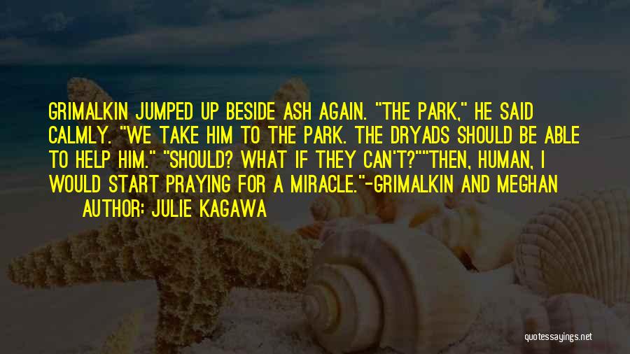 Julie Kagawa Quotes: Grimalkin Jumped Up Beside Ash Again. The Park, He Said Calmly. We Take Him To The Park. The Dryads Should