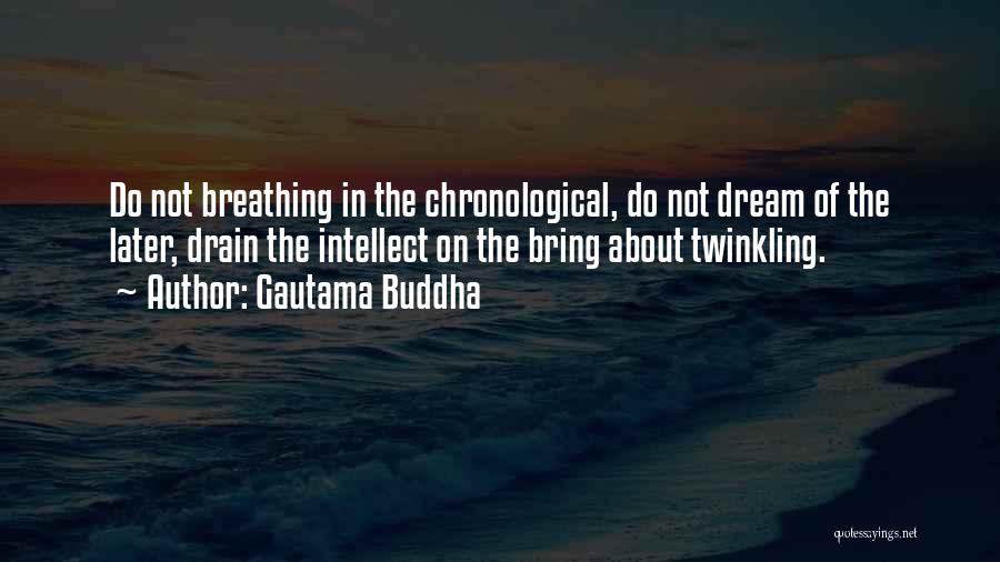 Gautama Buddha Quotes: Do Not Breathing In The Chronological, Do Not Dream Of The Later, Drain The Intellect On The Bring About Twinkling.