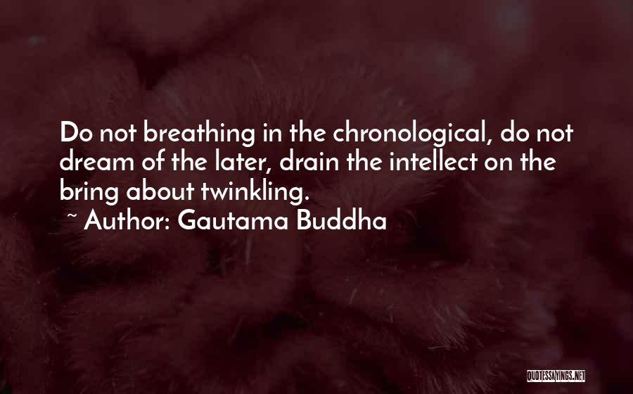 Gautama Buddha Quotes: Do Not Breathing In The Chronological, Do Not Dream Of The Later, Drain The Intellect On The Bring About Twinkling.