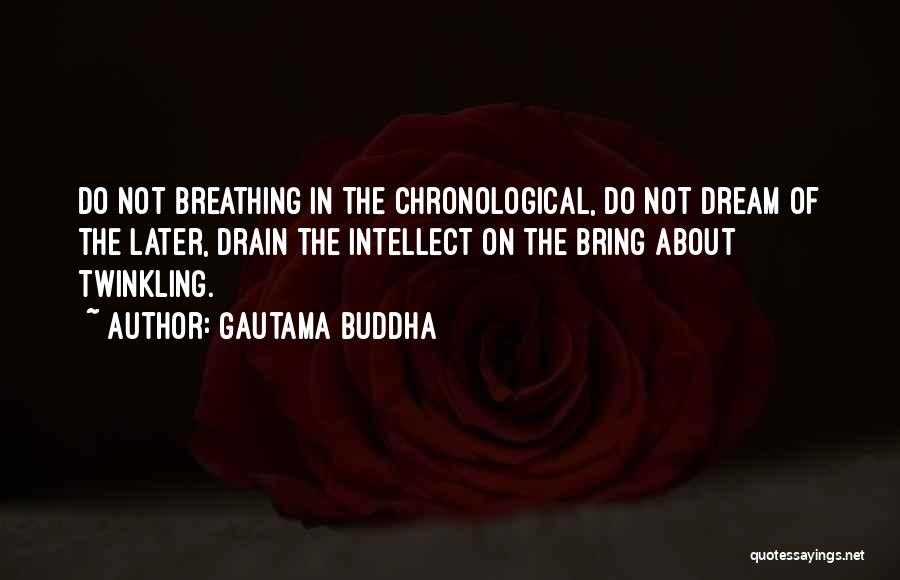 Gautama Buddha Quotes: Do Not Breathing In The Chronological, Do Not Dream Of The Later, Drain The Intellect On The Bring About Twinkling.