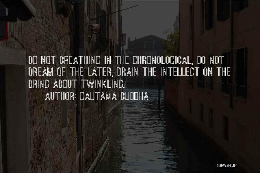 Gautama Buddha Quotes: Do Not Breathing In The Chronological, Do Not Dream Of The Later, Drain The Intellect On The Bring About Twinkling.