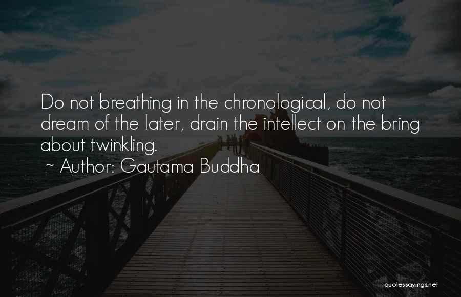 Gautama Buddha Quotes: Do Not Breathing In The Chronological, Do Not Dream Of The Later, Drain The Intellect On The Bring About Twinkling.