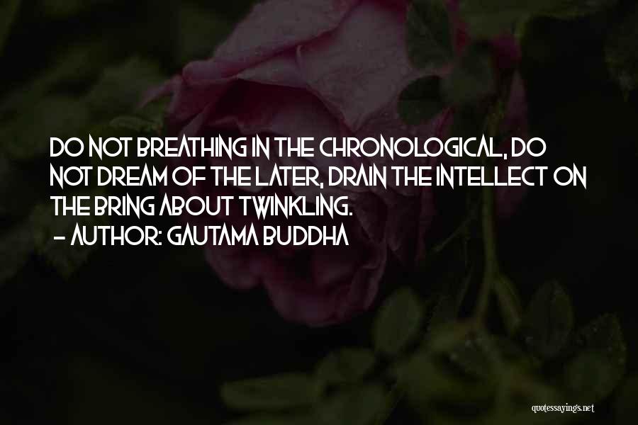 Gautama Buddha Quotes: Do Not Breathing In The Chronological, Do Not Dream Of The Later, Drain The Intellect On The Bring About Twinkling.