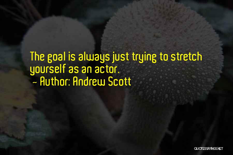 Andrew Scott Quotes: The Goal Is Always Just Trying To Stretch Yourself As An Actor.