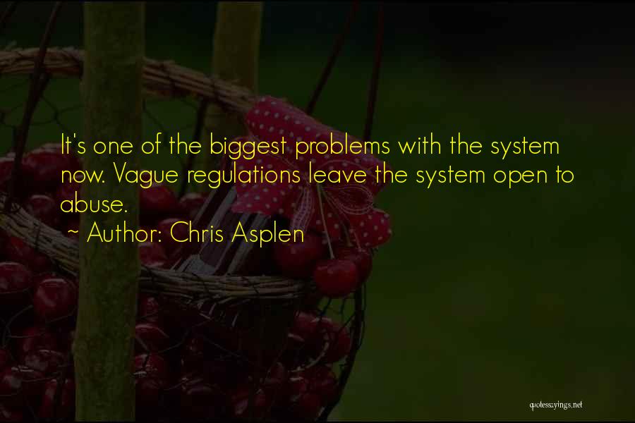 Chris Asplen Quotes: It's One Of The Biggest Problems With The System Now. Vague Regulations Leave The System Open To Abuse.