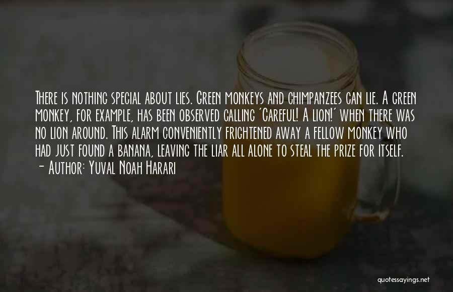 Yuval Noah Harari Quotes: There Is Nothing Special About Lies. Green Monkeys And Chimpanzees Can Lie. A Green Monkey, For Example, Has Been Observed