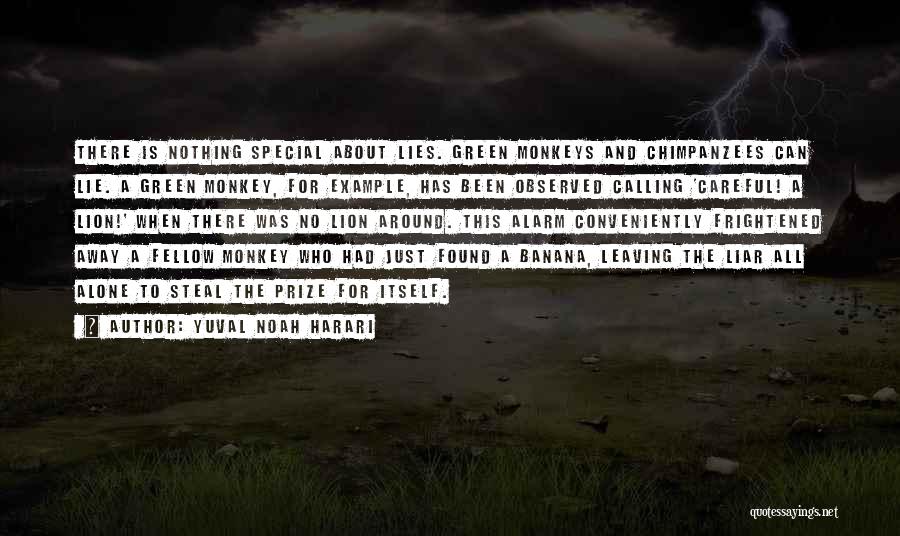 Yuval Noah Harari Quotes: There Is Nothing Special About Lies. Green Monkeys And Chimpanzees Can Lie. A Green Monkey, For Example, Has Been Observed