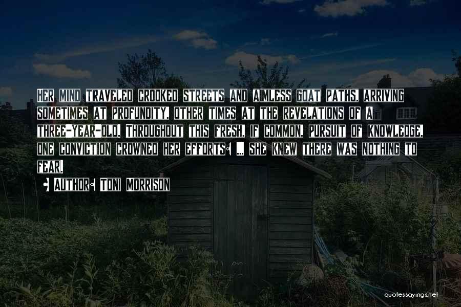 Toni Morrison Quotes: Her Mind Traveled Crooked Streets And Aimless Goat Paths, Arriving Sometimes At Profundity, Other Times At The Revelations Of A