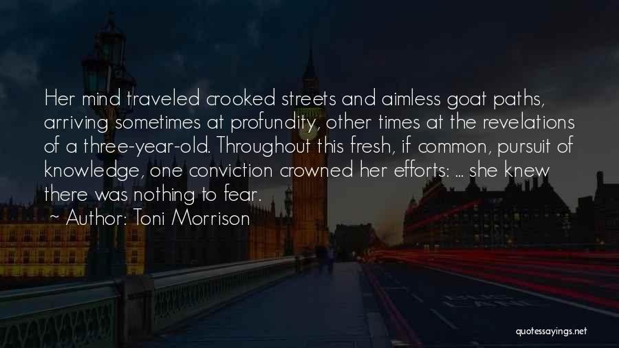 Toni Morrison Quotes: Her Mind Traveled Crooked Streets And Aimless Goat Paths, Arriving Sometimes At Profundity, Other Times At The Revelations Of A