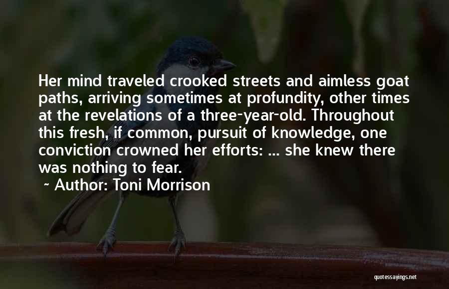 Toni Morrison Quotes: Her Mind Traveled Crooked Streets And Aimless Goat Paths, Arriving Sometimes At Profundity, Other Times At The Revelations Of A