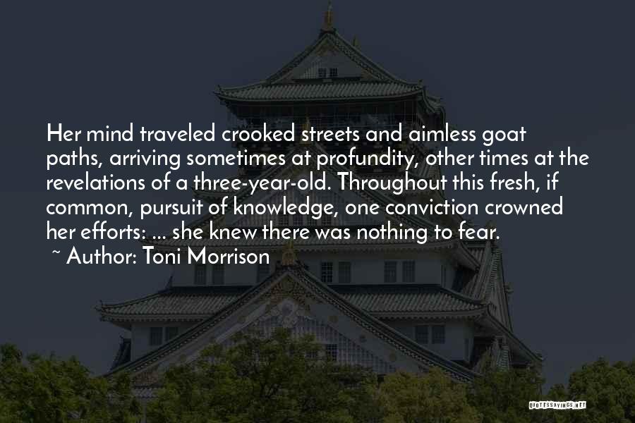 Toni Morrison Quotes: Her Mind Traveled Crooked Streets And Aimless Goat Paths, Arriving Sometimes At Profundity, Other Times At The Revelations Of A