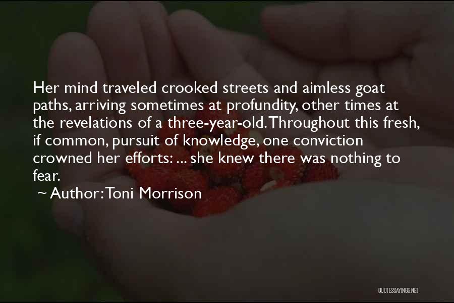 Toni Morrison Quotes: Her Mind Traveled Crooked Streets And Aimless Goat Paths, Arriving Sometimes At Profundity, Other Times At The Revelations Of A