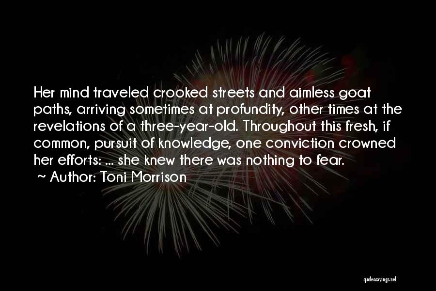 Toni Morrison Quotes: Her Mind Traveled Crooked Streets And Aimless Goat Paths, Arriving Sometimes At Profundity, Other Times At The Revelations Of A