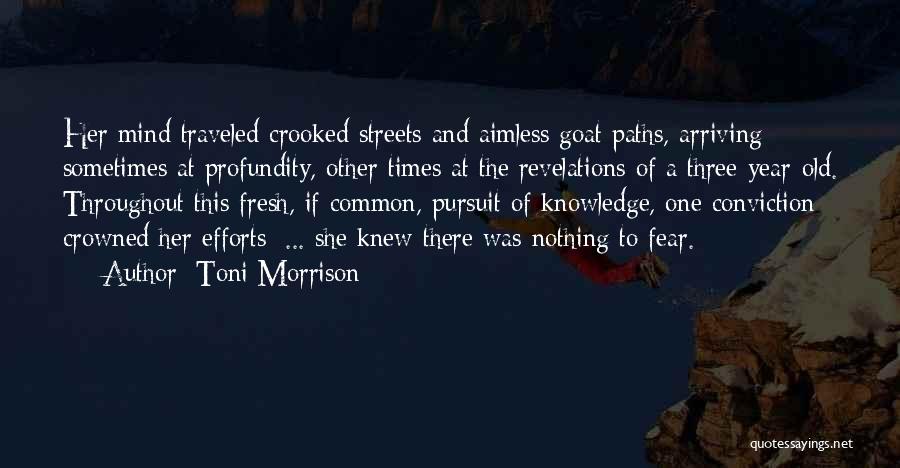 Toni Morrison Quotes: Her Mind Traveled Crooked Streets And Aimless Goat Paths, Arriving Sometimes At Profundity, Other Times At The Revelations Of A