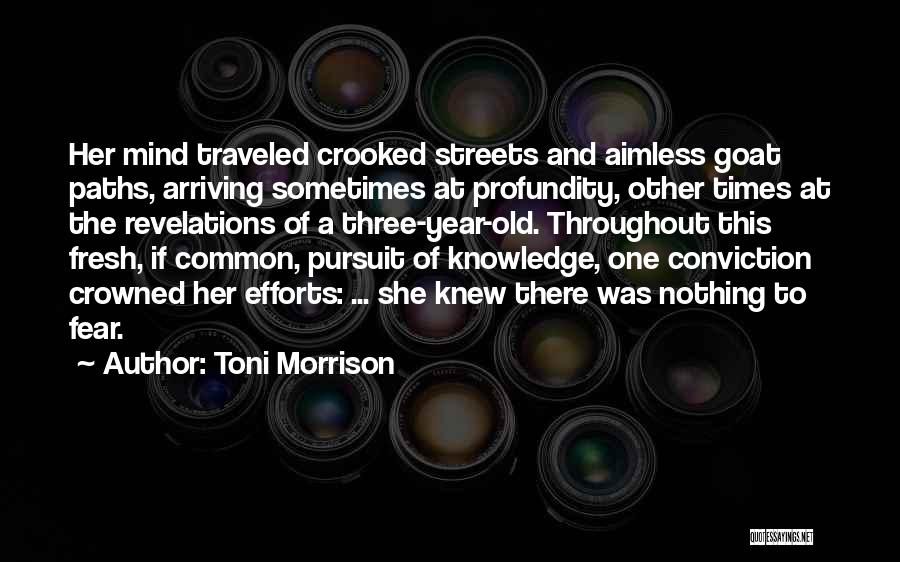 Toni Morrison Quotes: Her Mind Traveled Crooked Streets And Aimless Goat Paths, Arriving Sometimes At Profundity, Other Times At The Revelations Of A