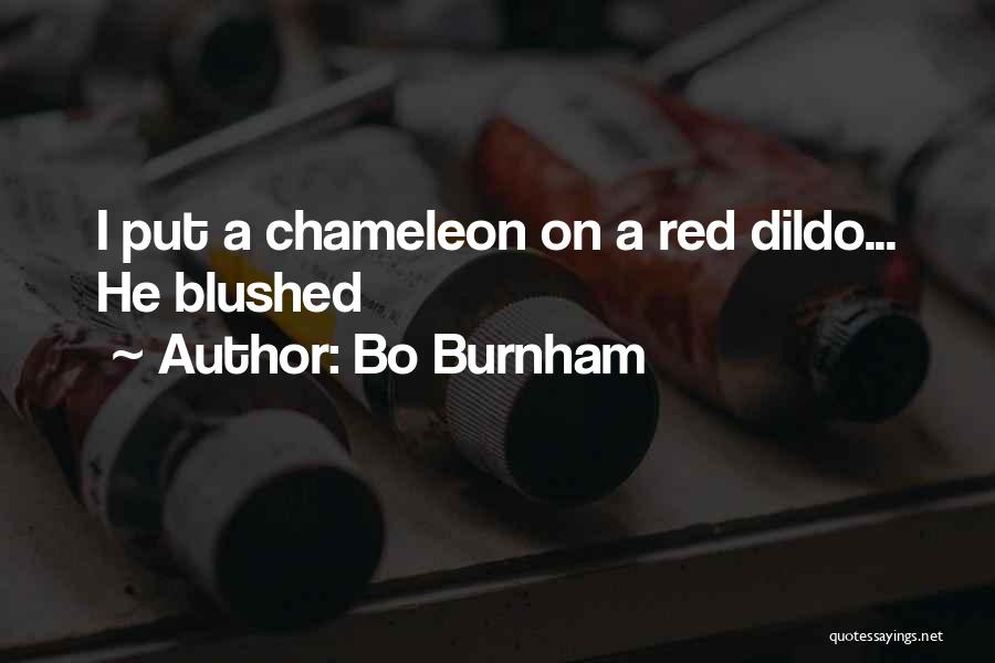 Bo Burnham Quotes: I Put A Chameleon On A Red Dildo... He Blushed