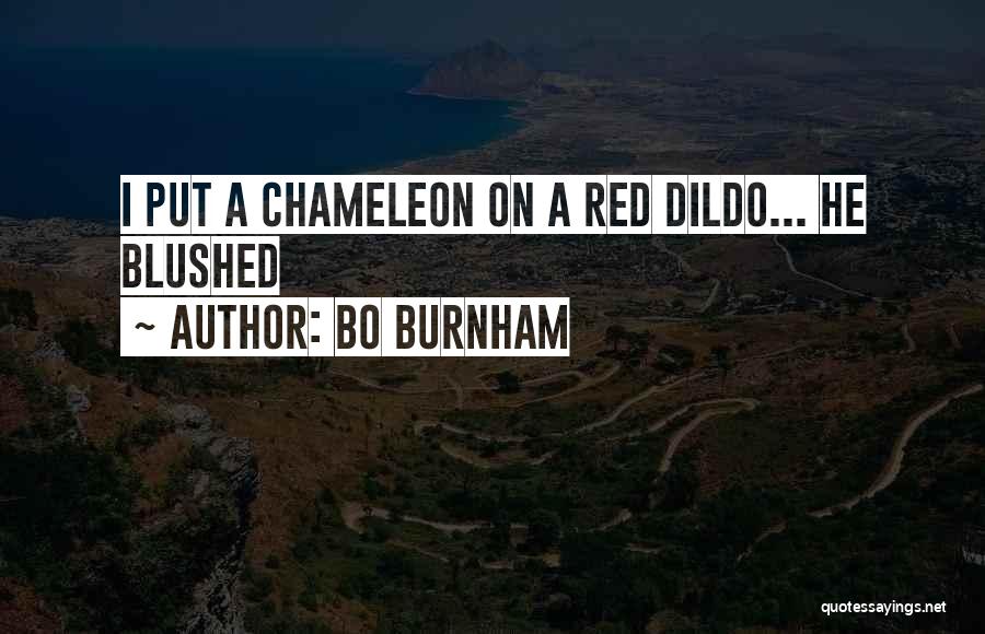 Bo Burnham Quotes: I Put A Chameleon On A Red Dildo... He Blushed