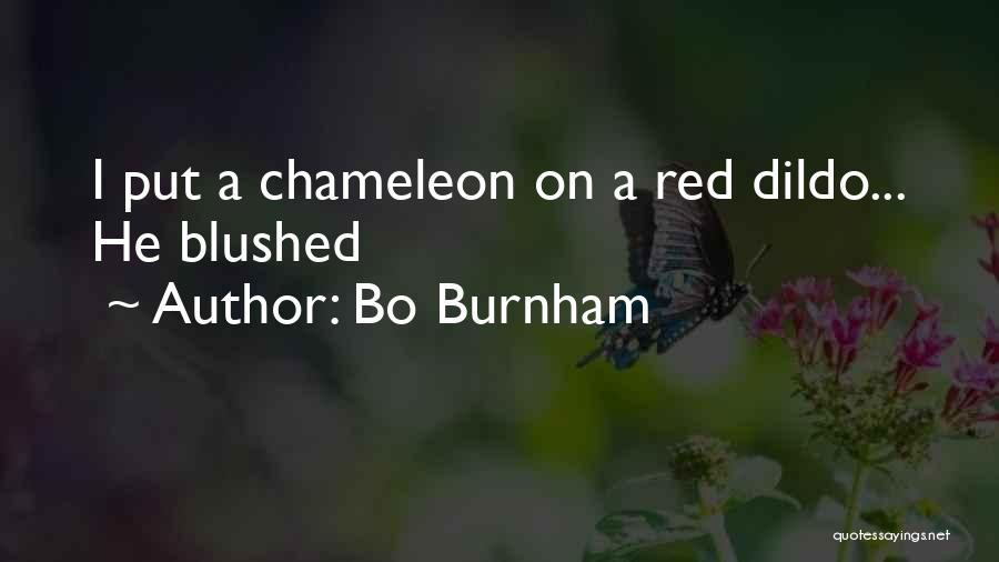 Bo Burnham Quotes: I Put A Chameleon On A Red Dildo... He Blushed