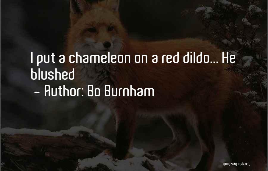 Bo Burnham Quotes: I Put A Chameleon On A Red Dildo... He Blushed