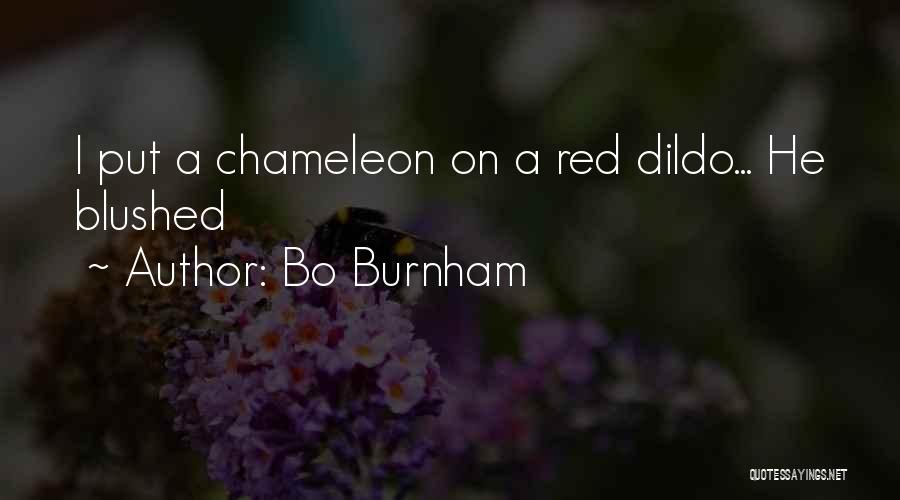 Bo Burnham Quotes: I Put A Chameleon On A Red Dildo... He Blushed