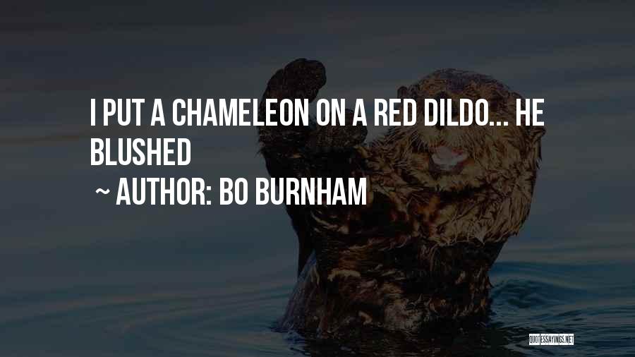 Bo Burnham Quotes: I Put A Chameleon On A Red Dildo... He Blushed