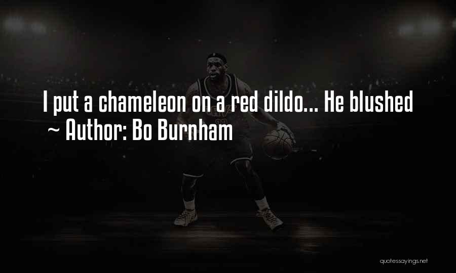 Bo Burnham Quotes: I Put A Chameleon On A Red Dildo... He Blushed