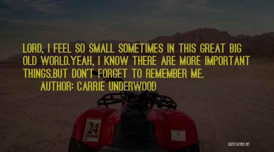 Carrie Underwood Quotes: Lord, I Feel So Small Sometimes In This Great Big Old World.yeah, I Know There Are More Important Things.but Don't