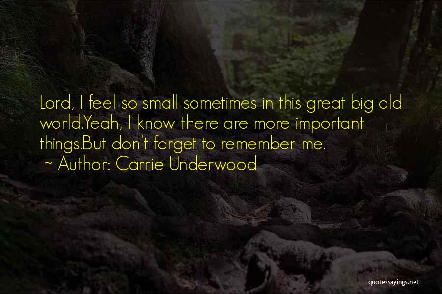 Carrie Underwood Quotes: Lord, I Feel So Small Sometimes In This Great Big Old World.yeah, I Know There Are More Important Things.but Don't