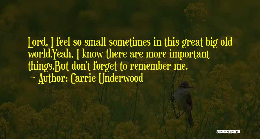 Carrie Underwood Quotes: Lord, I Feel So Small Sometimes In This Great Big Old World.yeah, I Know There Are More Important Things.but Don't