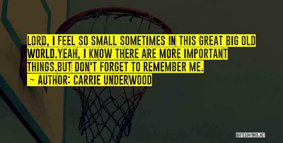 Carrie Underwood Quotes: Lord, I Feel So Small Sometimes In This Great Big Old World.yeah, I Know There Are More Important Things.but Don't