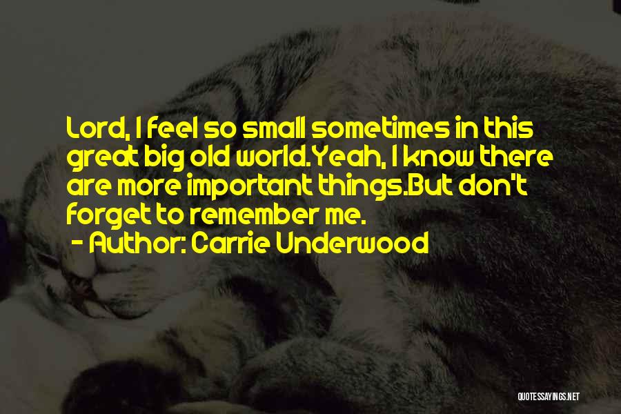 Carrie Underwood Quotes: Lord, I Feel So Small Sometimes In This Great Big Old World.yeah, I Know There Are More Important Things.but Don't