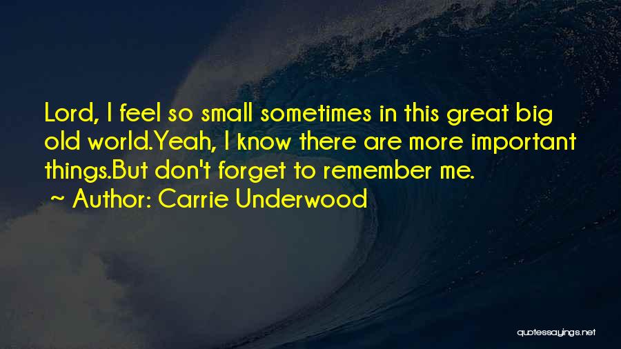 Carrie Underwood Quotes: Lord, I Feel So Small Sometimes In This Great Big Old World.yeah, I Know There Are More Important Things.but Don't