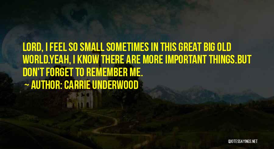 Carrie Underwood Quotes: Lord, I Feel So Small Sometimes In This Great Big Old World.yeah, I Know There Are More Important Things.but Don't