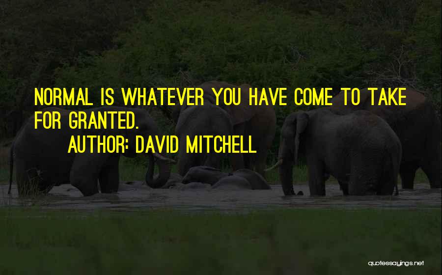 David Mitchell Quotes: Normal Is Whatever You Have Come To Take For Granted.