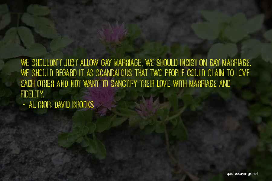 David Brooks Quotes: We Shouldn't Just Allow Gay Marriage. We Should Insist On Gay Marriage. We Should Regard It As Scandalous That Two