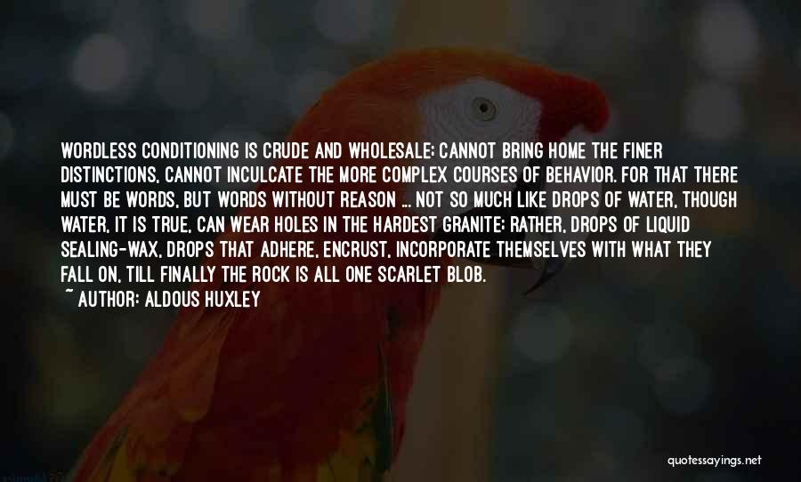 Aldous Huxley Quotes: Wordless Conditioning Is Crude And Wholesale; Cannot Bring Home The Finer Distinctions, Cannot Inculcate The More Complex Courses Of Behavior.